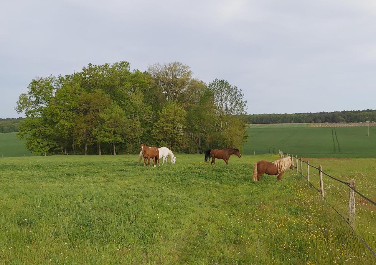 Вилла Les Pres Du Petit Morlu - Proche Beauval Saint-Romain-sur-Cher Экстерьер фото